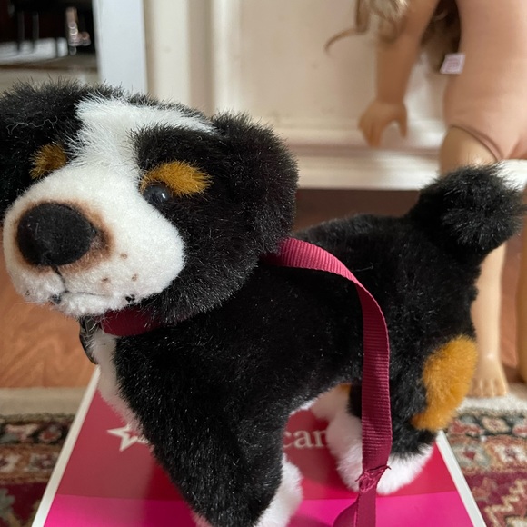 Nicki American girl doll girl of the year 2007 - Picture 12 of 14